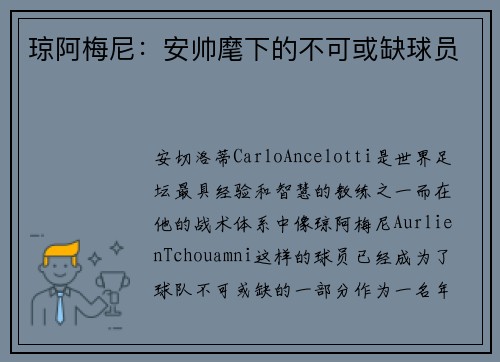 琼阿梅尼：安帅麾下的不可或缺球员