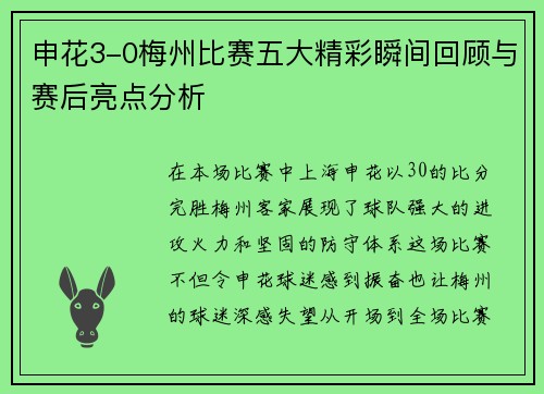 申花3-0梅州比赛五大精彩瞬间回顾与赛后亮点分析