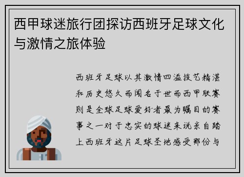西甲球迷旅行团探访西班牙足球文化与激情之旅体验